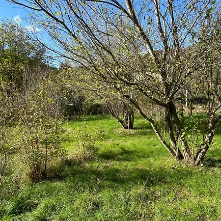 Sur Terrain Arboré Appartement