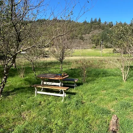 Appartement Sur Terrain Arboré *