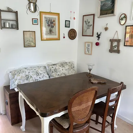 Sur Terrain Arboré Fayet (Aveyron)