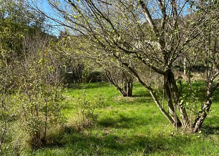 Sur Terrain Arboré Apartamento