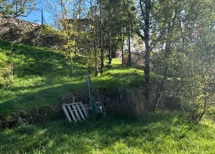 Sur Terrain Arboré *