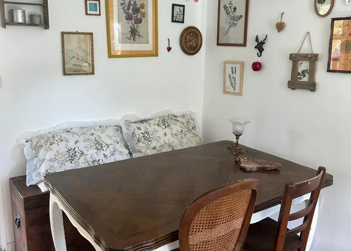 Sur Terrain Arboré Fayet (Aveyron)